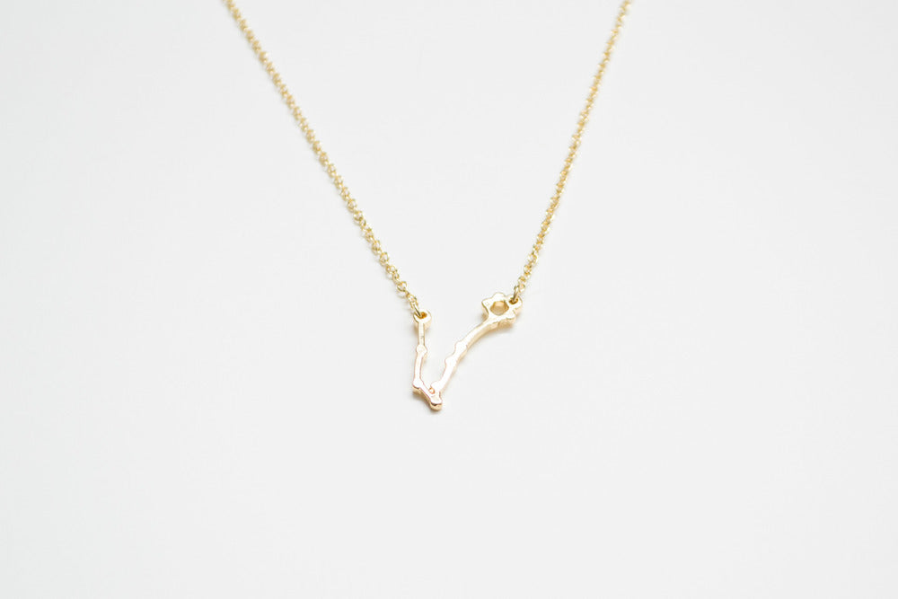 Pisces Necklace