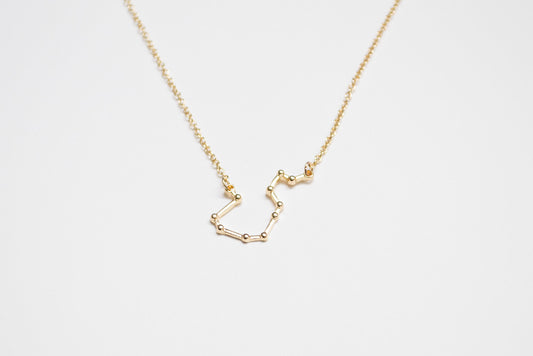 Aquarius, the Water Bearer Necklace