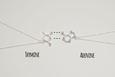 DNA Base Pair Necklaces: Adenine-Thymine & Cytosine-Guanine