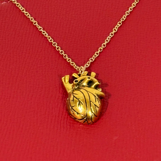 Anatomical heart necklace