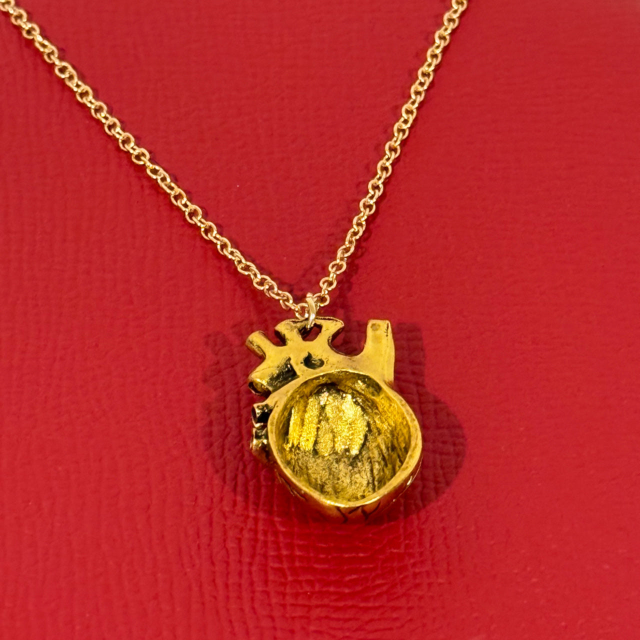 Anatomical heart necklace