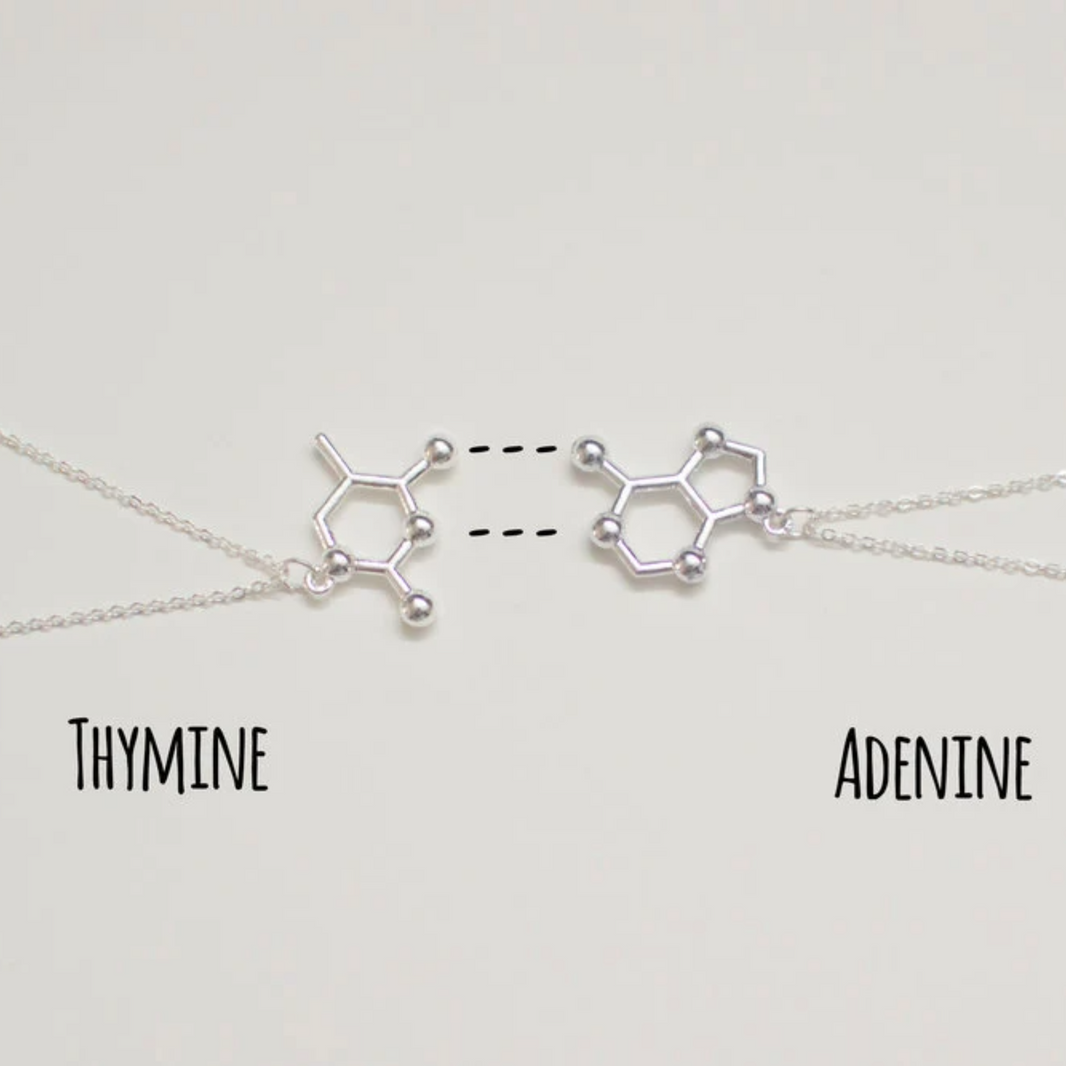The Molecule Shop