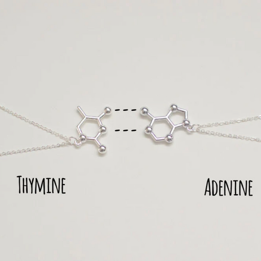 DNA Base Pair Necklaces: Adenine-Thymine & Cytosine-Guanine