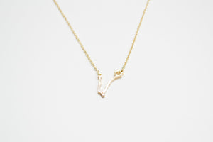 Pisces Necklace