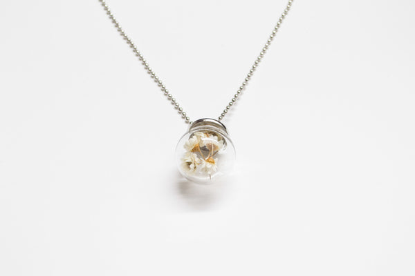 Glass Globe Dried Daisy Necklace