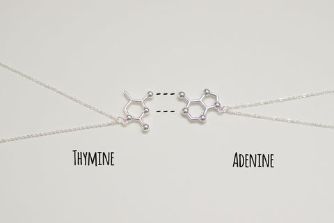 DNA Nucleotides Base Pairs (A-T//C-G) Adenine-Thymine Ctyosine-Guanine Couple or Friendship Necklaces