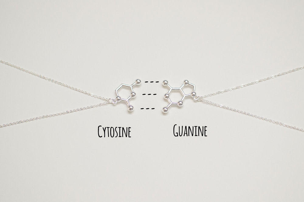 DNA Base Pair Necklaces: Adenine-Thymine & Cytosine-Guanine