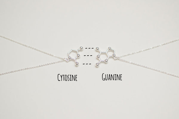 DNA Nucleotides Base Pairs (A-T//C-G) Adenine-Thymine Ctyosine-Guanine Couple or Friendship Necklaces