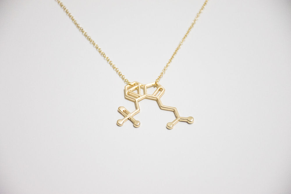 Psilocybin (Shrooms) Necklace